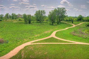 Audobon twisty paths